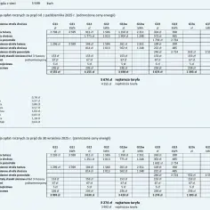 Oto 5 faktów o opłatach i rozliczeniach w Tauronie dla klienta!