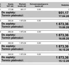 Jak uniknąć wysokich opłat w rachunkach za gaz PGNiG? Sprytne